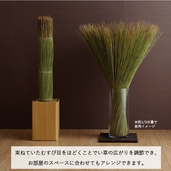 消臭機能付き国産い草の観葉植物 95×10cm