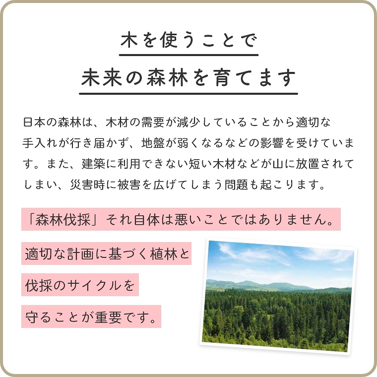 車の追いかけっこが夢中に！ 木のおもちゃ ひのきコースター