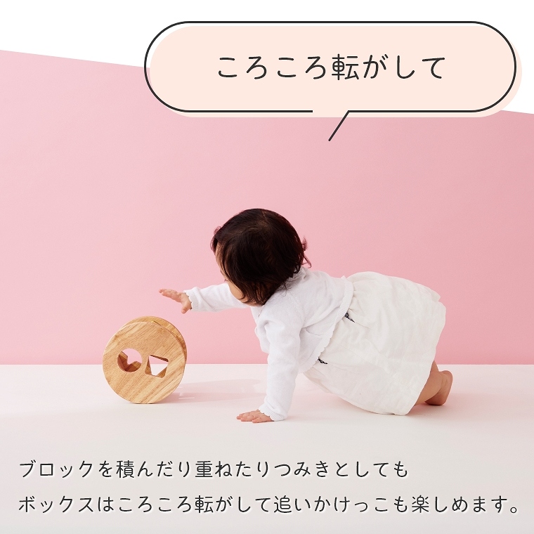 パステルカラーがかわいい型はめパズル！ Sugar Box シュガーボックス