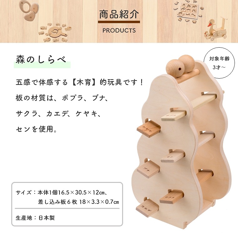 さまざまな木に触れ五感で体感する 森を学ぶ木育玩具 MOCCO 森の