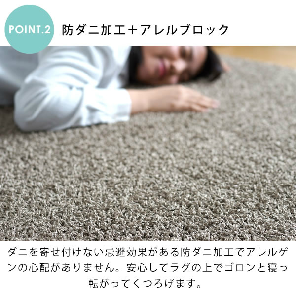 ふんわりソフトタッチなシャギーラグ スミトロンニューツイスティ 140×200cm オーダーラグ スミノエ 家具のホンダ インターネット本店 ラグ・ カーペット・じゅうたん・テーブルマット匠の通販サイト