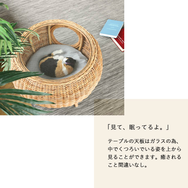 大好きなペットと”一緒”の時間が長くなる ラタン ペットハウステーブル