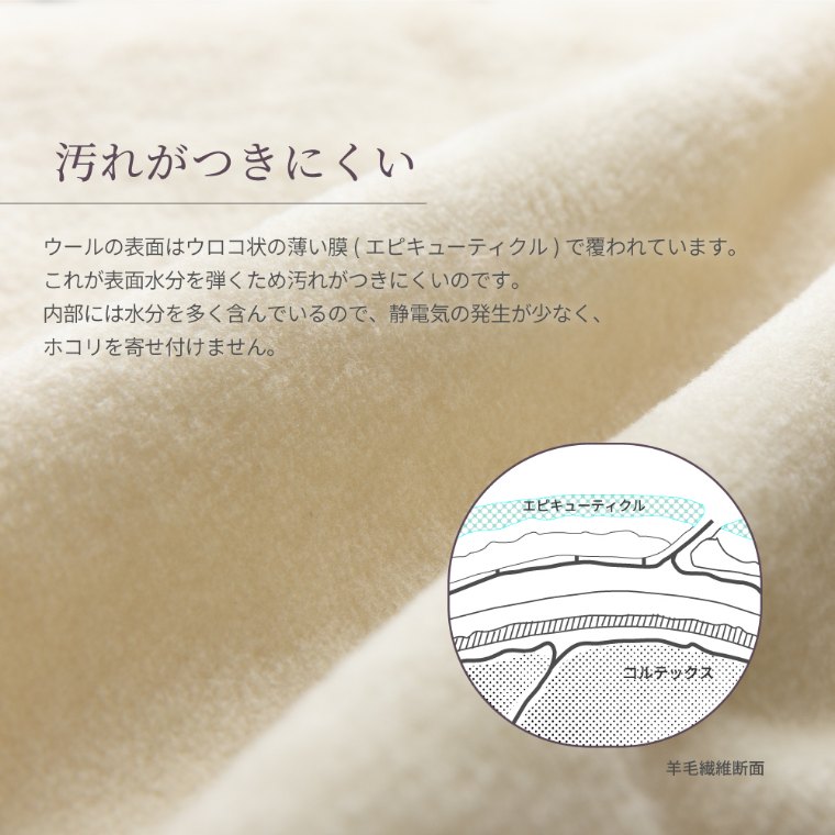 ウォッシャブルウール毛布 セミダブル 160×210cm （セミダブル/ウール