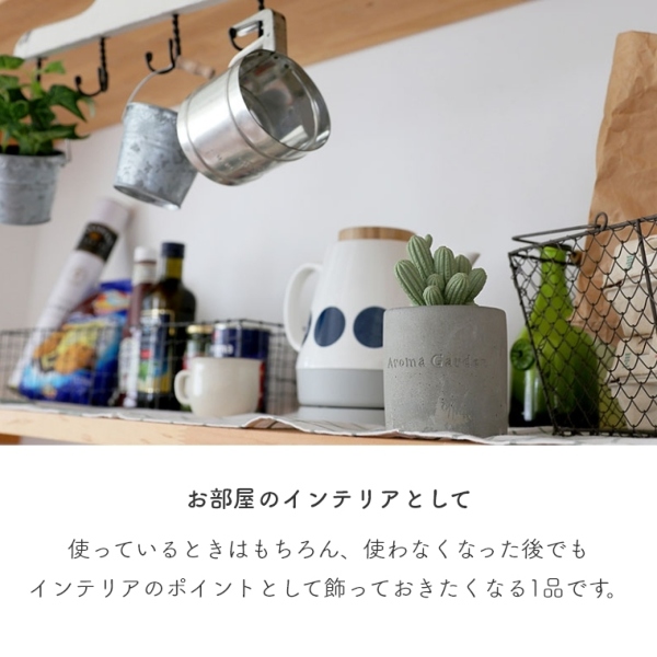 本物のような可愛いデザイン リードディフューザー 100ml MRU-73 本物のような可愛いデザイン リードディフューザー 100ml MRU-73