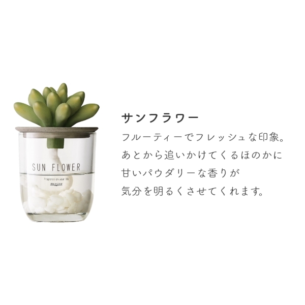 本物そっくりで癒される リードディフューザー 100ml MRU-91 mercyu