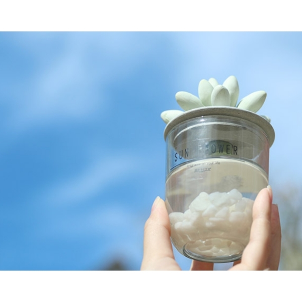 本物そっくりで癒される リードディフューザー 100ml MRU-91 mercyu