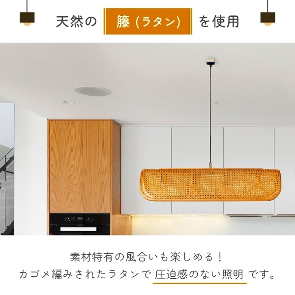 ⭐︎truck furniture 新品ラタンペンダント PENDANT P-RT1 | TRUCK FURNITURE