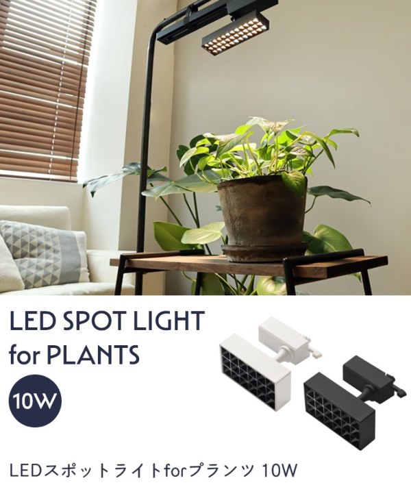 LEDX|bgCgforvc BRID 10W WARM COOL (A琬Cg/X|bgCg/LED/ϗtA/_Ng[/|/ǖʗΉ/cCg/i/͔|/pCg/Ɩ/ubh)