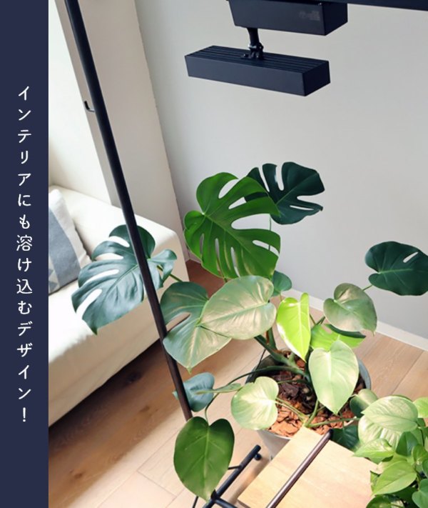 【実物美品】東ドイツ ライト オリーブグリーン 2IMG_8516_1024x.jpg?v=1660569467