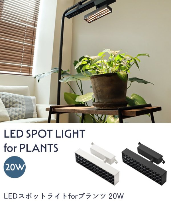 LEDX|bgCgforvc BRID 20W WARM COOL (A琬Cg/X|bgCg/LED/ϗtA/_Ng[/|/ǖʗΉ/cCg/i/͔|/pCg/Ɩ/ubh)