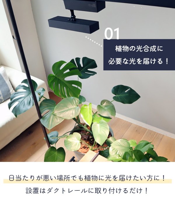 植物育成用LEDスポットライト 5個セット NISSIN LUX 植物育成ライト LED 植物ライト 1灯式 室内栽培ランプ