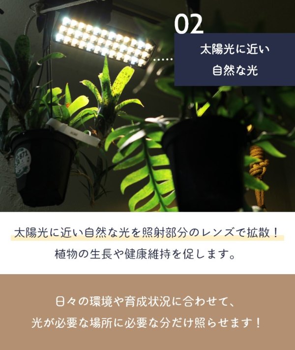 LEDスポットライトforプランツ BRID 20W WARM COOL (植物育成ライト