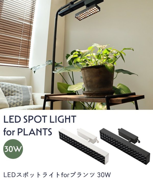 LEDX|bgCgforvc BRID 30W WARM COOL (A琬Cg/X|bgCg/LED/ϗtA/_Ng[/|/ǖʗΉ/cCg/i/͔|/pCg/Ɩ/ubh)