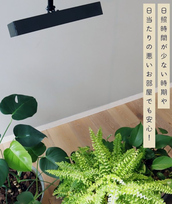 LEDX|bgCgforvc BRID 30W WARM COOL (A琬Cg/X|bgCg/LED/ϗtA/_Ng[/|/ǖʗΉ/cCg/i/͔|/pCg/Ɩ/ubh)