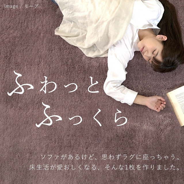 アウトレット】【在庫処分】 丸洗いOKのふんわりラグ！ EX