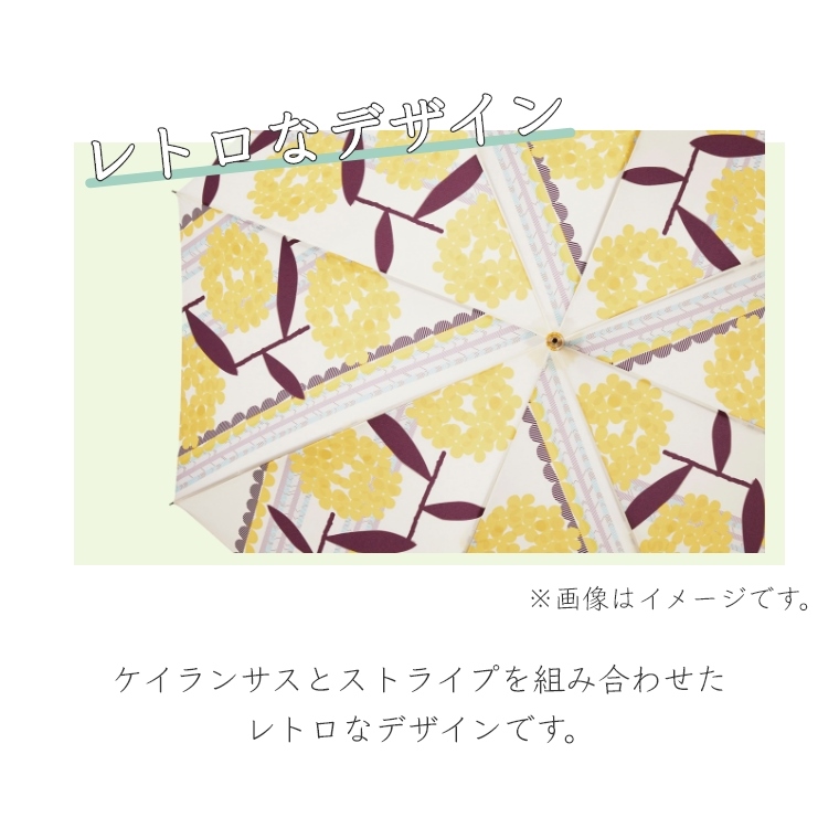 誰かに自慢したくなるような個性的な傘 KEIRANSASU ケイランサス 親骨